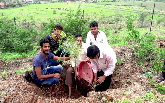 Rekord 66 Millionen Bäume in nur 12 Stunden für den Klimawandel von 1,5 Millionen Indern gepflanzt